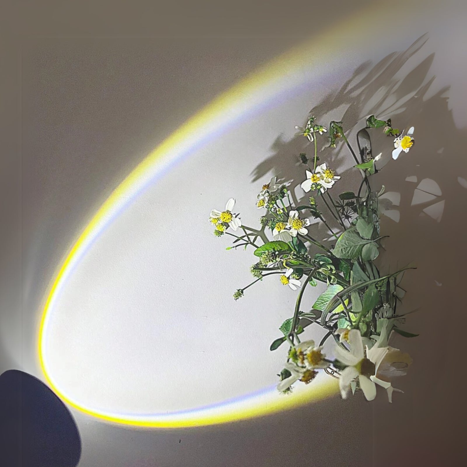 Sunset USB Projector Lamp Ambient Light