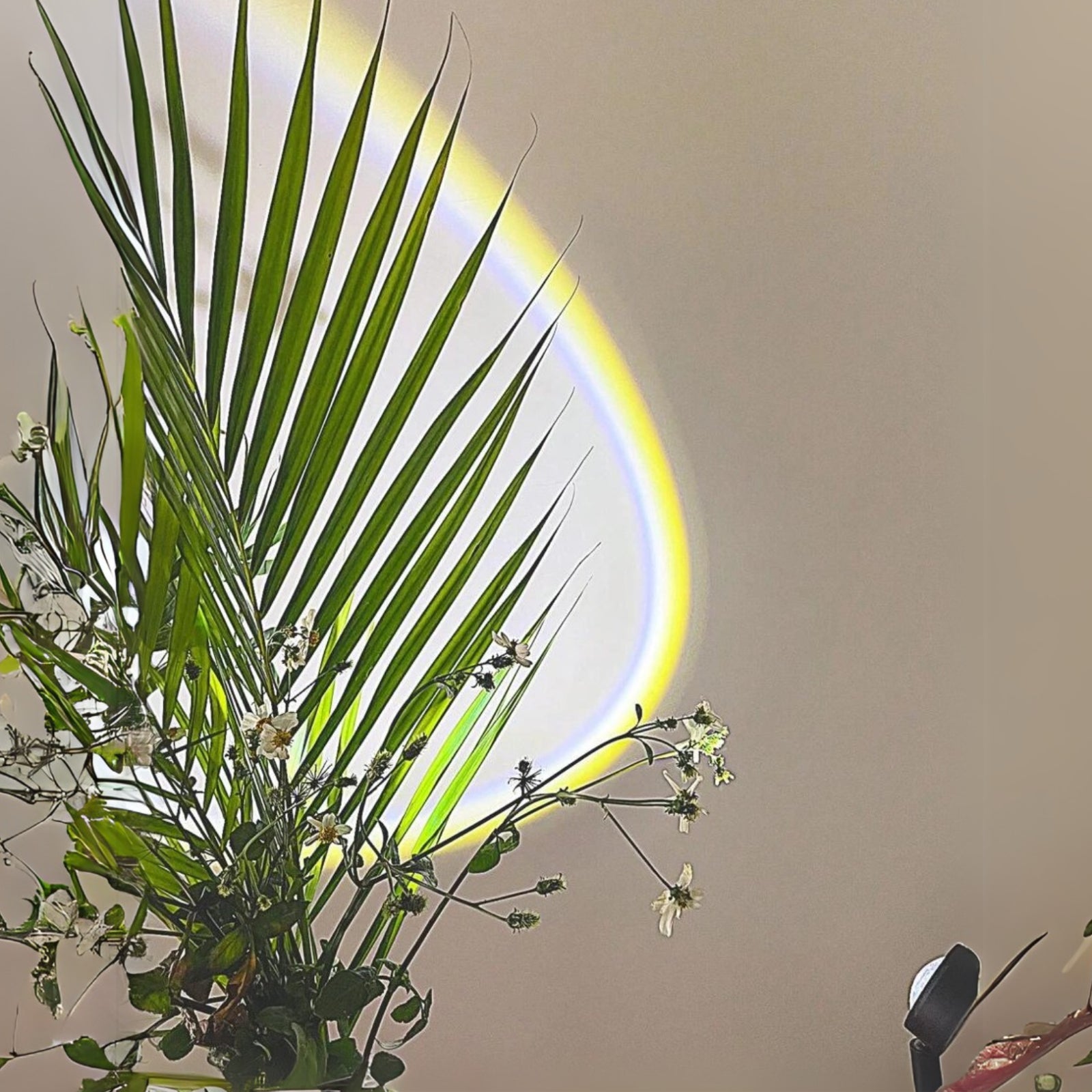 Sunset USB Projector Lamp Ambient Light