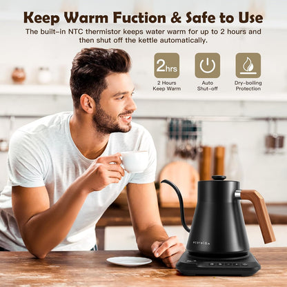 Gooseneck Electric Kettle
