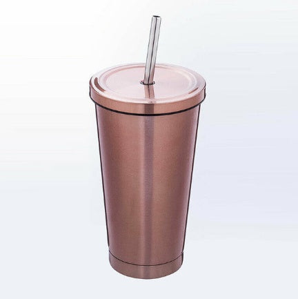 500ML Stainless Steel Empty Tumbler with Straw Lids Drinking Bottles