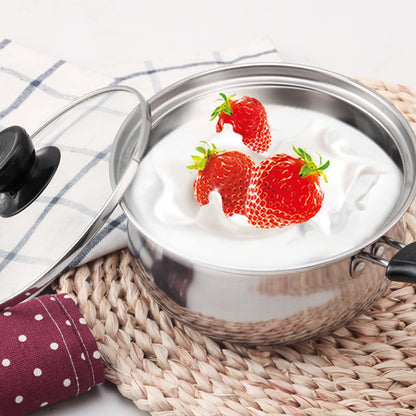 Stainless Steel Household Mini Pot