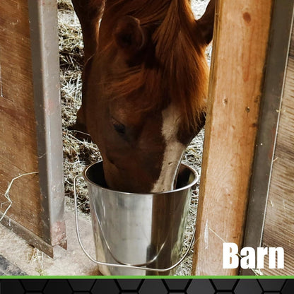 Stainless Steel Bucket (4 Gallon) - Great for Pets, Cleaning, Food Prep
