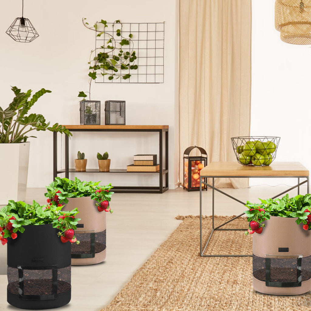 Transparent potato bag in the middle