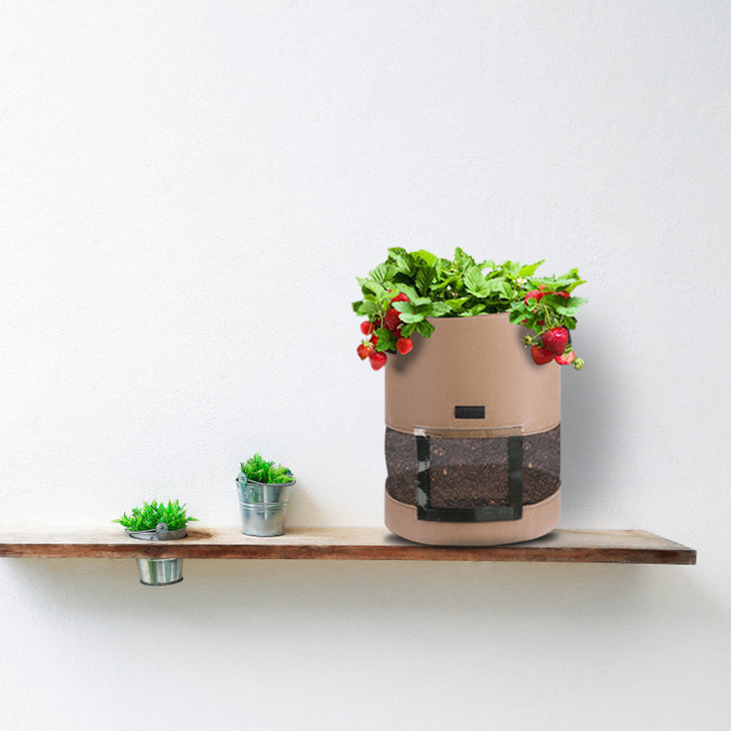 Transparent potato bag in the middle