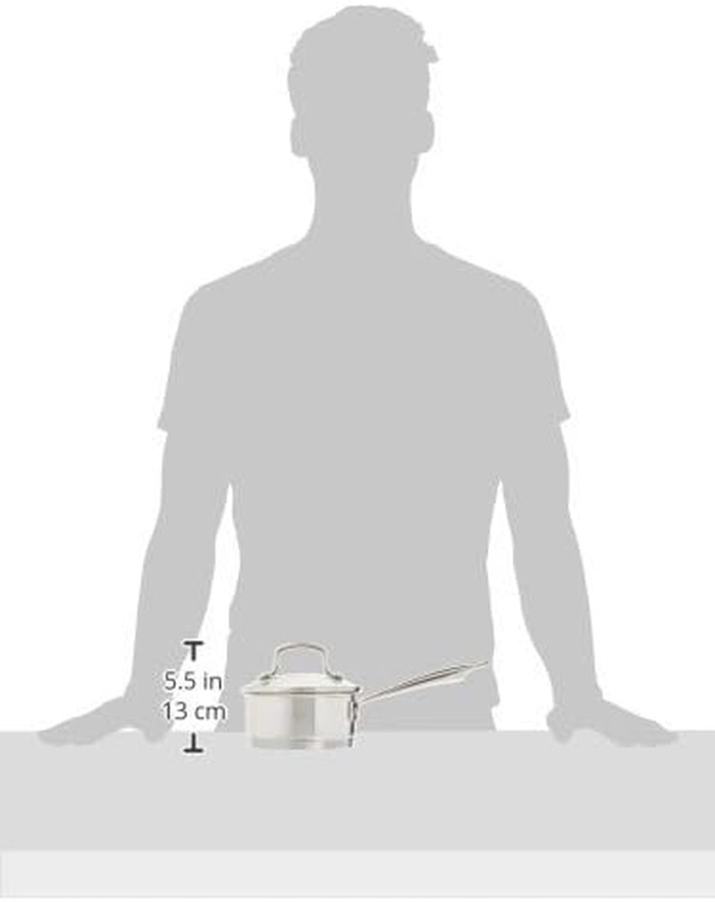 Professional Series 1-Quart Saucepan with Cover, Stainless Steel, Mirror Finish