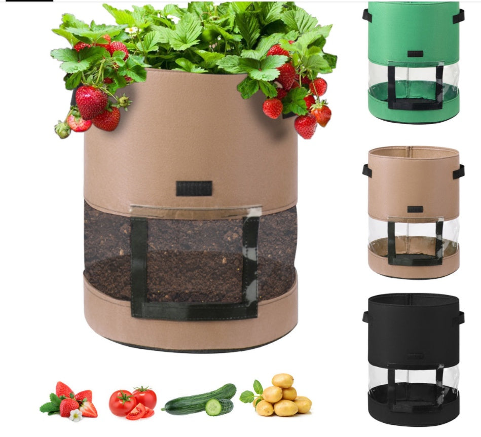 Transparent potato bag in the middle