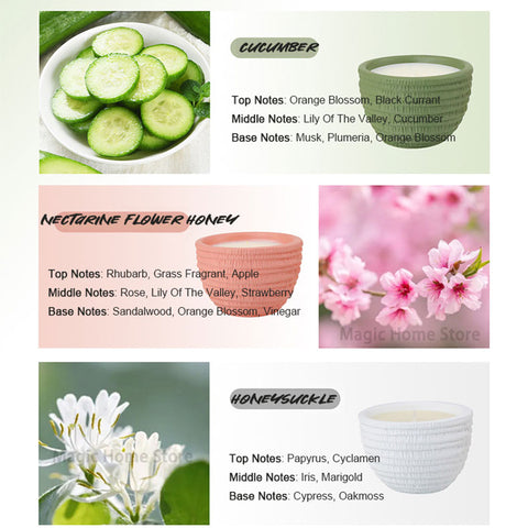 Botanical Scented Candle Collection