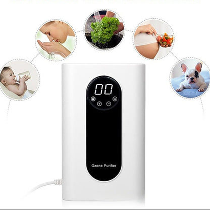 Ozone Fruit And Vegetable Cleaning Machine Anion Ozone Clearing Machine