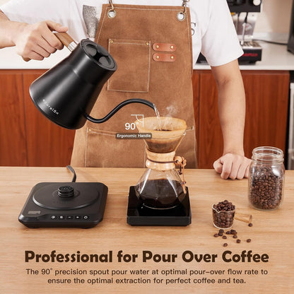 Gooseneck Electric Kettle