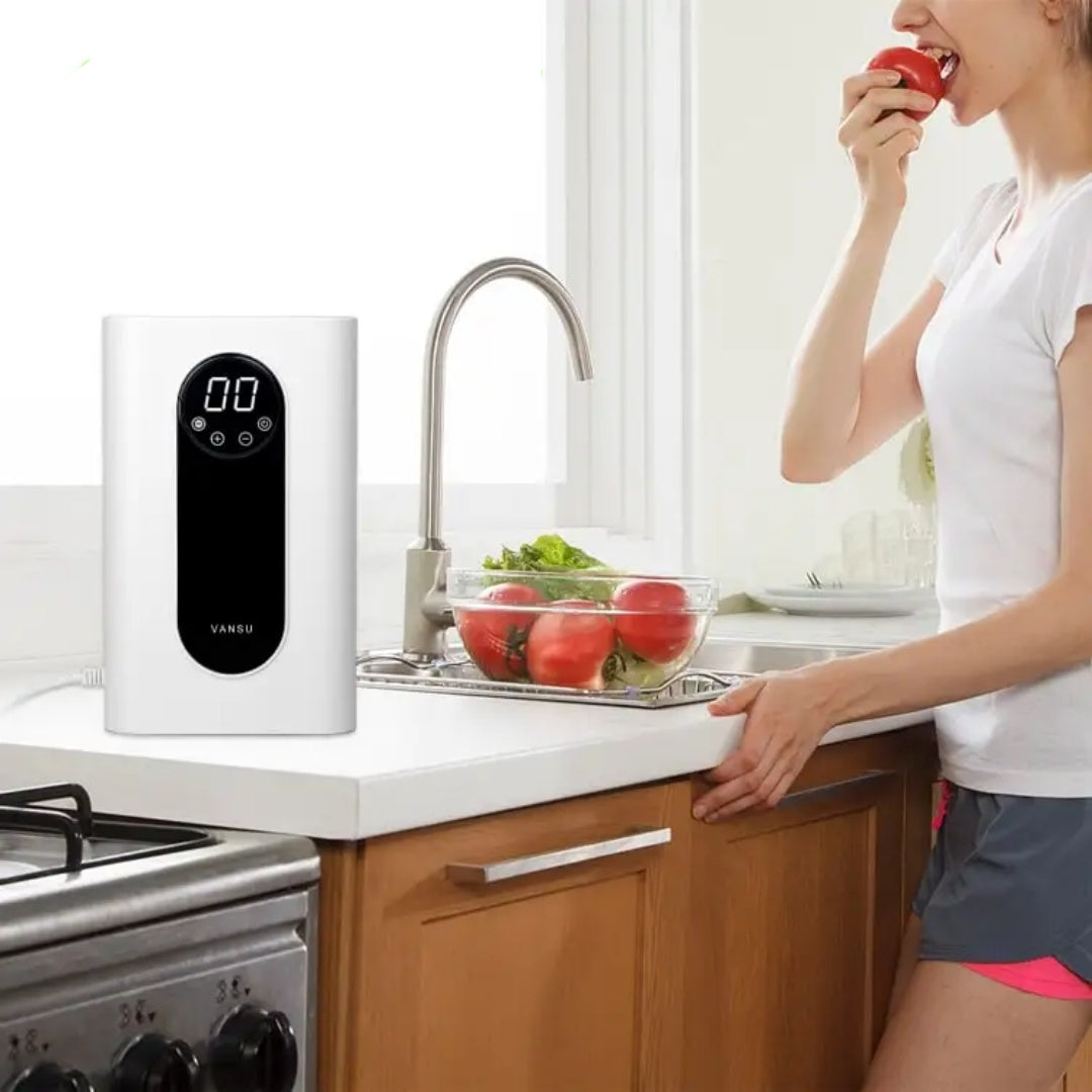 Ozone Fruit And Vegetable Cleaning Machine Anion Ozone Clearing Machine