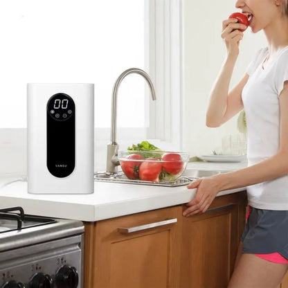 Ozone Fruit And Vegetable Cleaning Machine Anion Ozone Clearing Machine