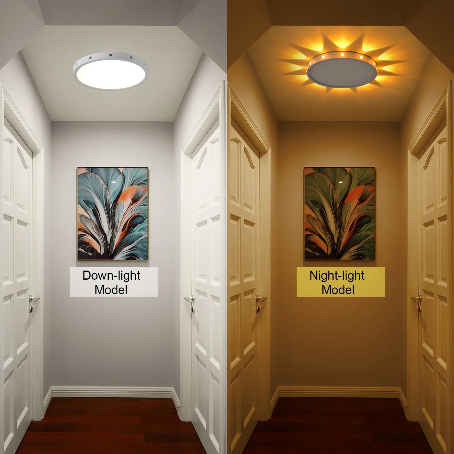 12 Inch 24W Led Ceiling Light with Light Night