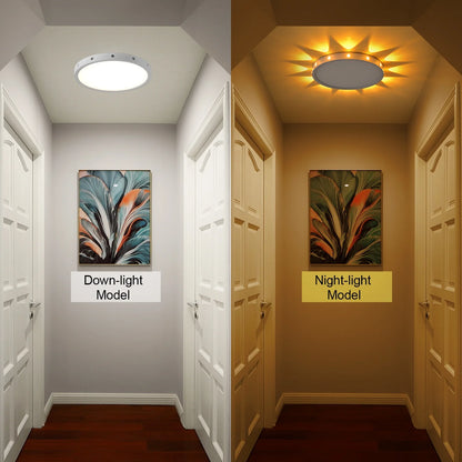 12 Inch 24W Led Ceiling Light with Light Night