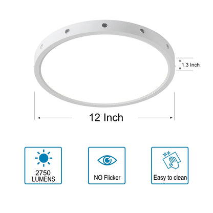 12 Inch 24W Led Ceiling Light with Light Night