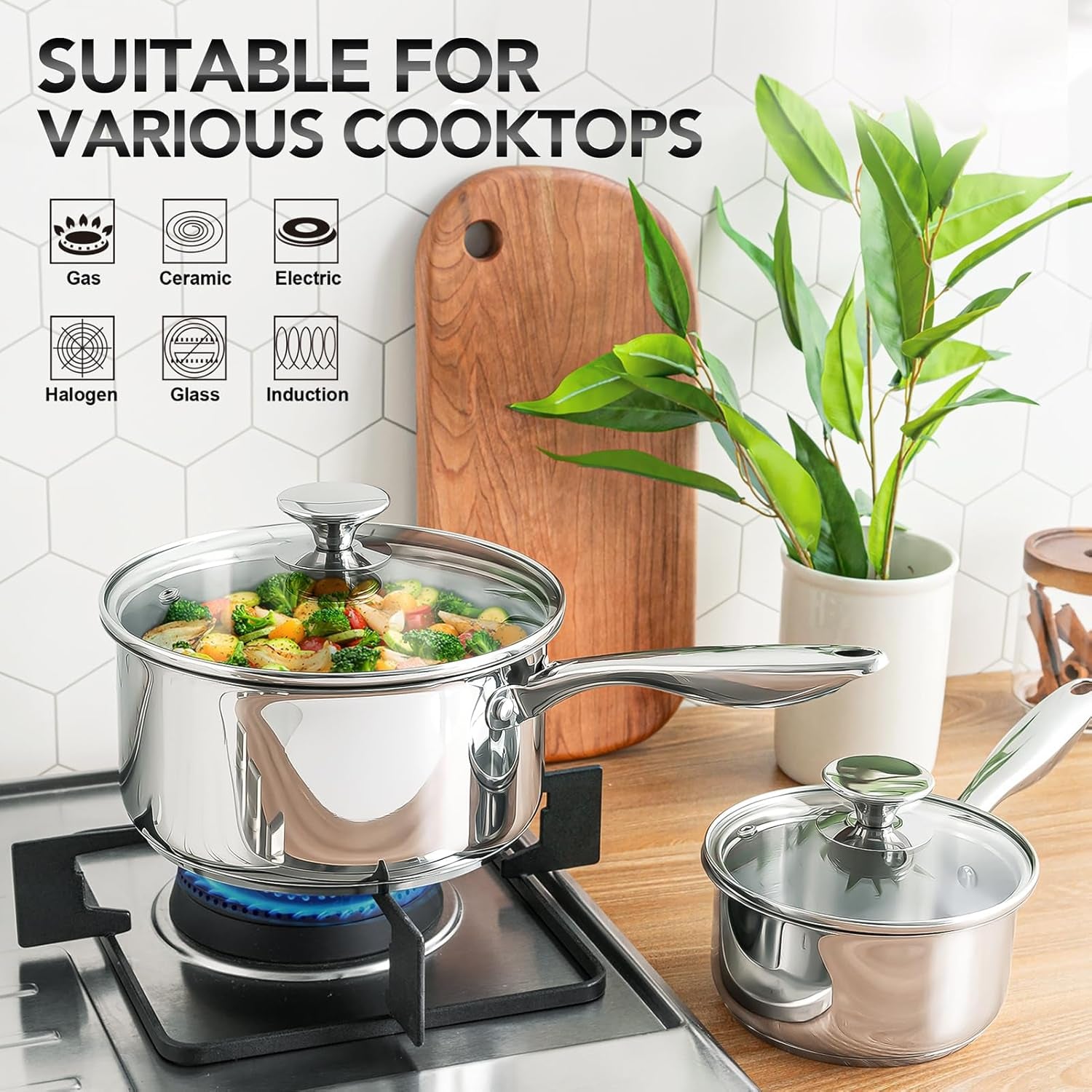 Stainless Steel Saucepan Set 1Qt & 2Qt, Induction Compatible