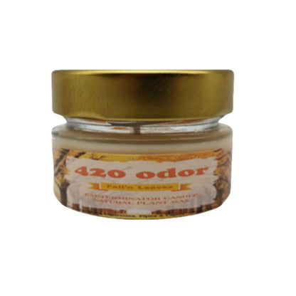 Odor-Neutralizing Scented Candle