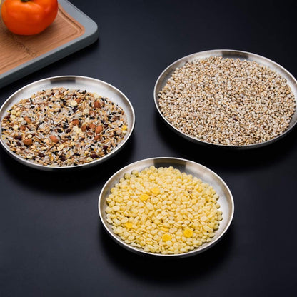 2 Set Reusable Stainless Steel round Plate - 12 Inch - Dishwasher Safe