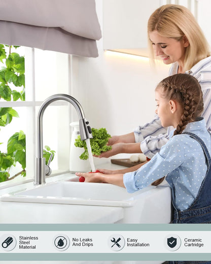Brushed Nickel Kitchen Faucet with Pull-Down Sprayer